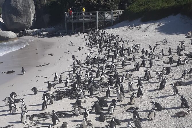 Cape Peninsula Tour Cape Town City - The guide can shape the whole day