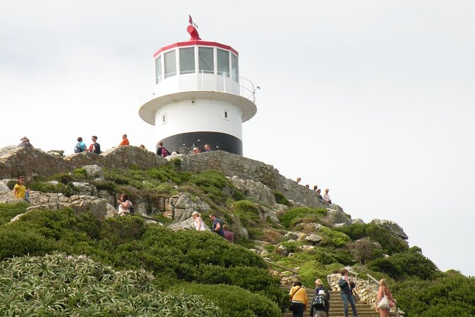 Cape Peninsula Tours - Three Hours at Cape Point