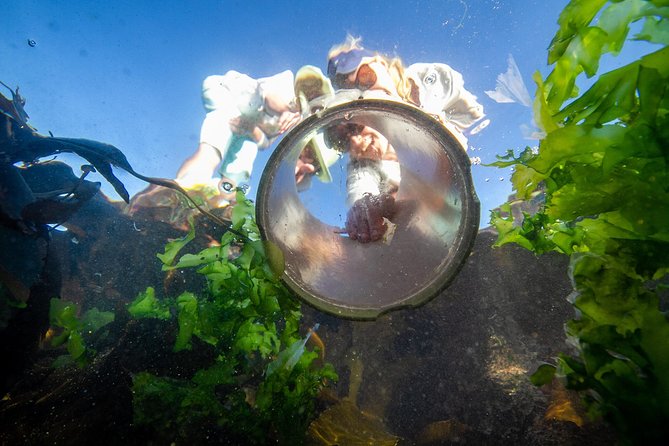 Cape Peninsula with a Marine Biologist - A 7:00 a.m. start at Chardonnay Deli