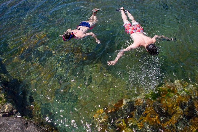 Cape Peninsula with a Marine Biologist - Boulders Beach and the African penguins
