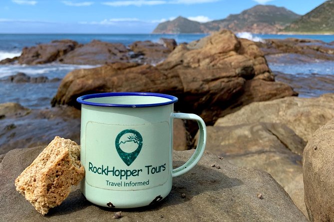 Cape Peninsula with a Marine Biologist - The guide makes the biggest difference
