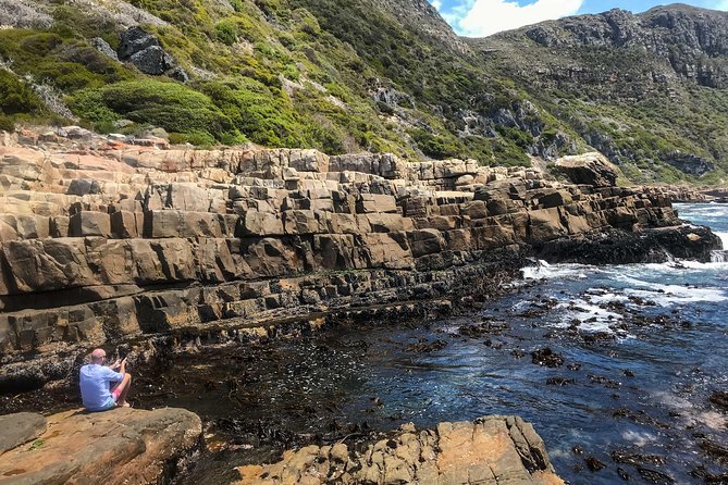 Cape Peninsula with a Marine Biologist - What the $173.16 price really covers