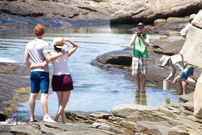 Cape Peninsula with a Marine Biologist - Cape Point before the tour buses