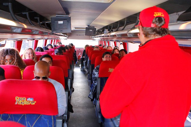 Cape Point and Boulder's Penguins Full Day Tour - Why this Cape Town day trip works