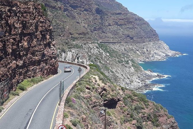 Cape Point, Boulder's Beach in Private Car Entrance Fees Included - Hout Bay leaves room for an optional boat trip