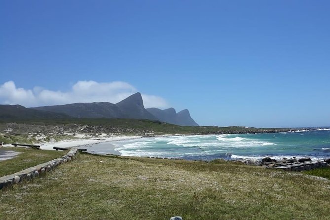 Cape Point, Boulder's Beach in Private Car Entrance Fees Included - Chapman’s Peak Drive is the road highlight