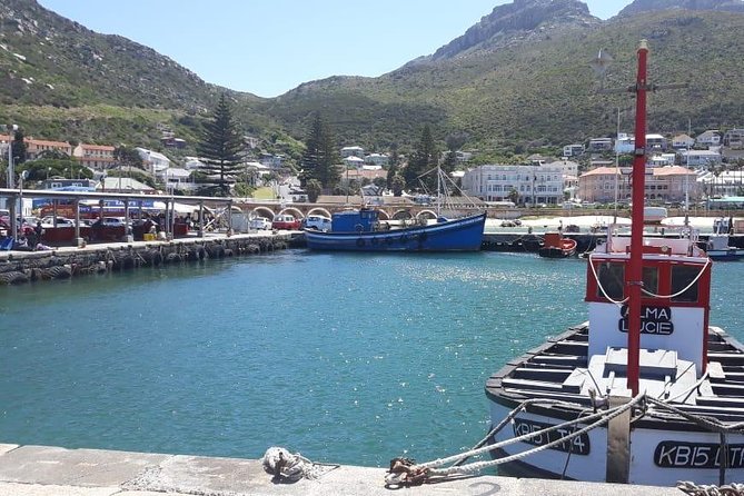Cape Point, Boulder's Beach in Private Car Entrance Fees Included - Cape Point takes the biggest block of time