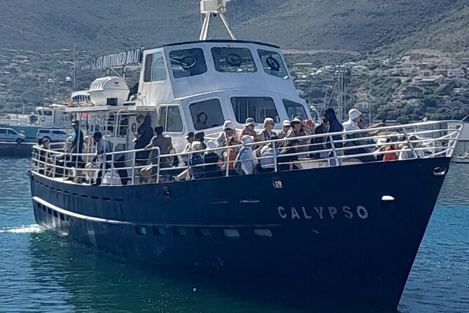 Cape Point Cape Of Good Hope And Penguins Private Tour - Why this private Cape Peninsula day works
