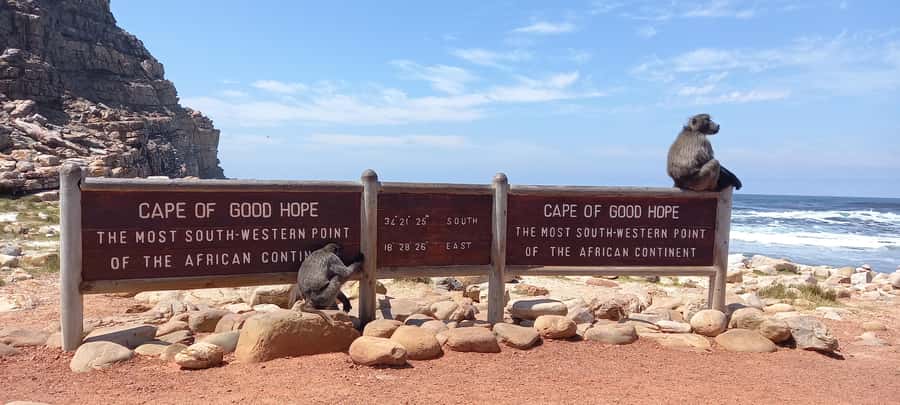 Cape Point Cape of Good Hope, Penguins Private Half day Tour - Guides, language, and the private format