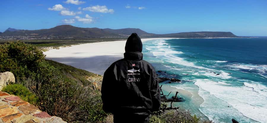 Cape Point Cape of Good Hope, Penguins Private Half day Tour - Entering Cape Point and the Cape of Good Hope Nature Reserve
