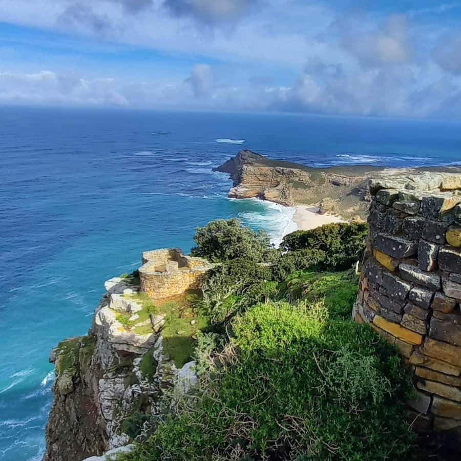 Cape Point Cape of Good Hope, Penguins Private Half day Tour - What the $165 price really covers