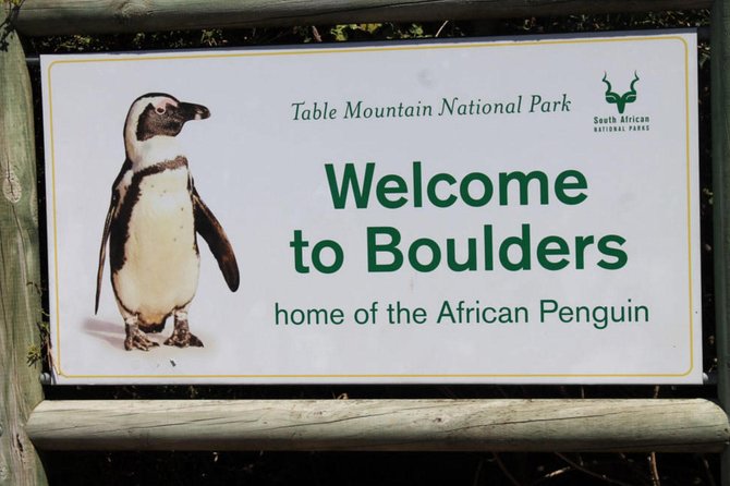 Cape Point Explore with Boulder's Penguins Small Group Day Tour - What the $202.01 price really gets you