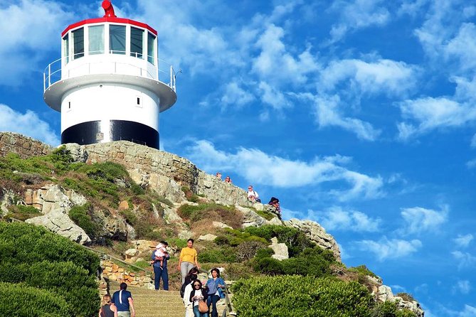 Cape Point Explore with Boulder's Penguins Small Group Day Tour - Boulders Beach and the African penguins