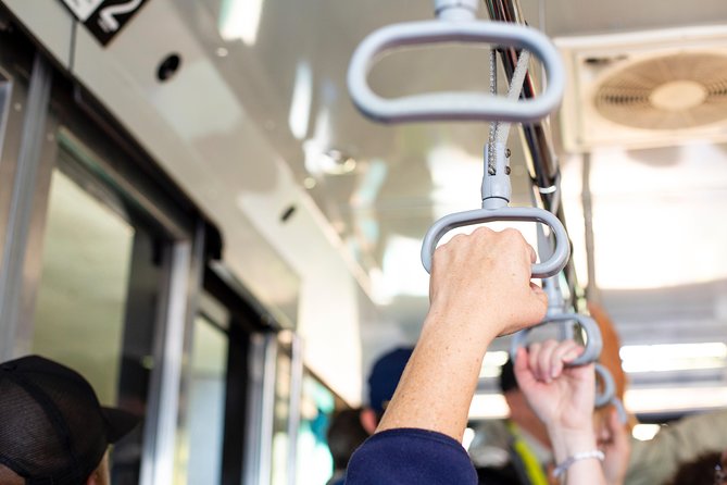 Cape Point Flying Dutchman Funicular Return Ticket - What awaits at the upper station