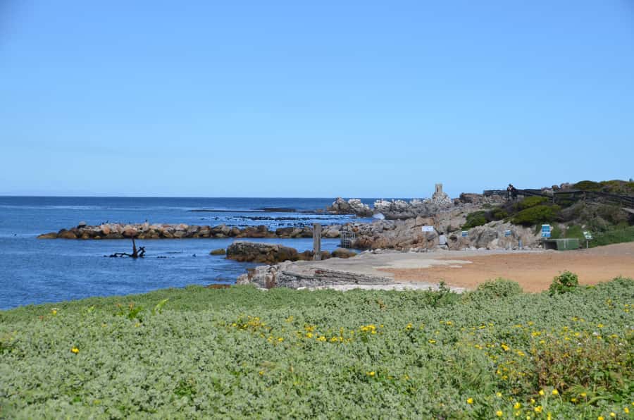 Cape Point Full-Day Tour From Cape Town - Cape Point and the old lighthouse