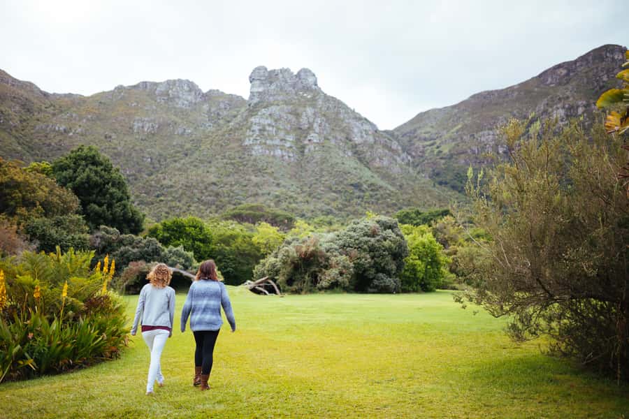 Cape Point Full-Day Tour From Cape Town - Boulders Beach and the penguin colony