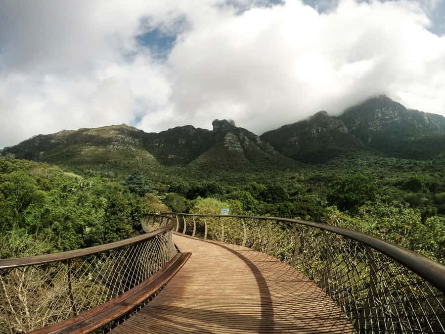 Cape Point Full-Day Tour From Cape Town - Kirstenbosch as the day’s gentle finish