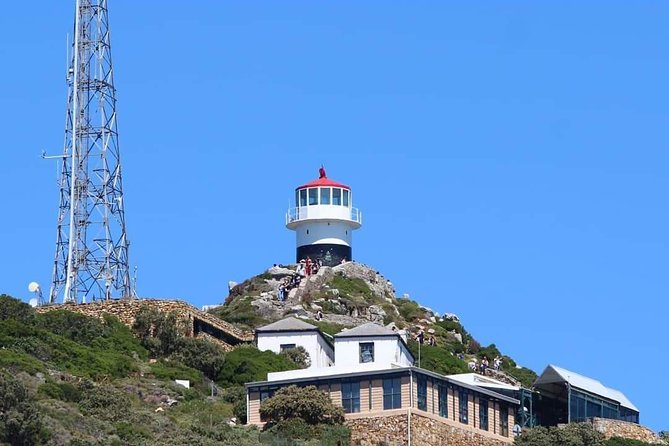 Cape Point & Penguin Explorer Tour - Why this Cape Peninsula day trip works