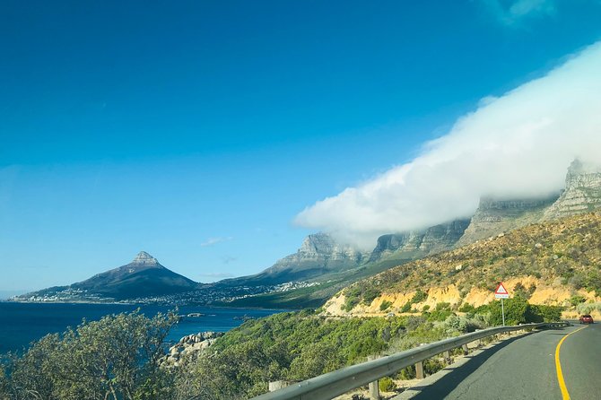 Cape Point Penguin Tour - Why the private format matters over eight hours