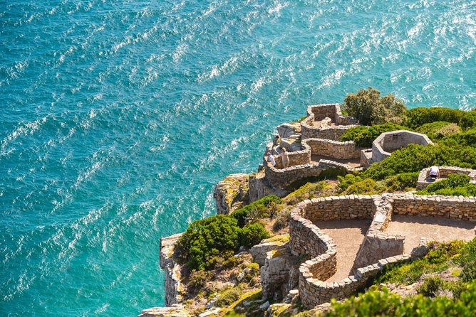 Cape Point Penguin Tour - Llandudno offers a quieter viewpoint
