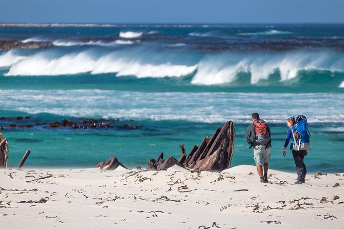 Cape Point Private Nature Tour & Hike - Who should book this tour?