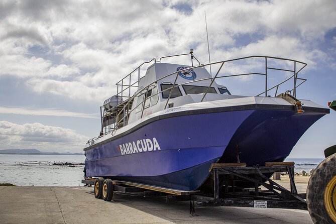 Cape Shark Diving Adventures - Warm showers, towels, and a proper meal afterward