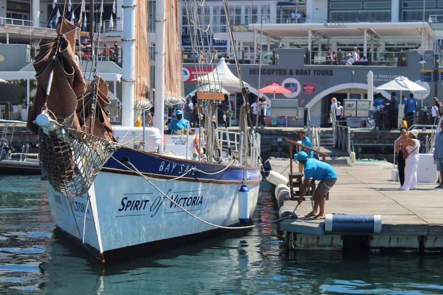 Cape Town: 1 Hour Table Bay Sailing Tour - Why this short Cape Town cruise works