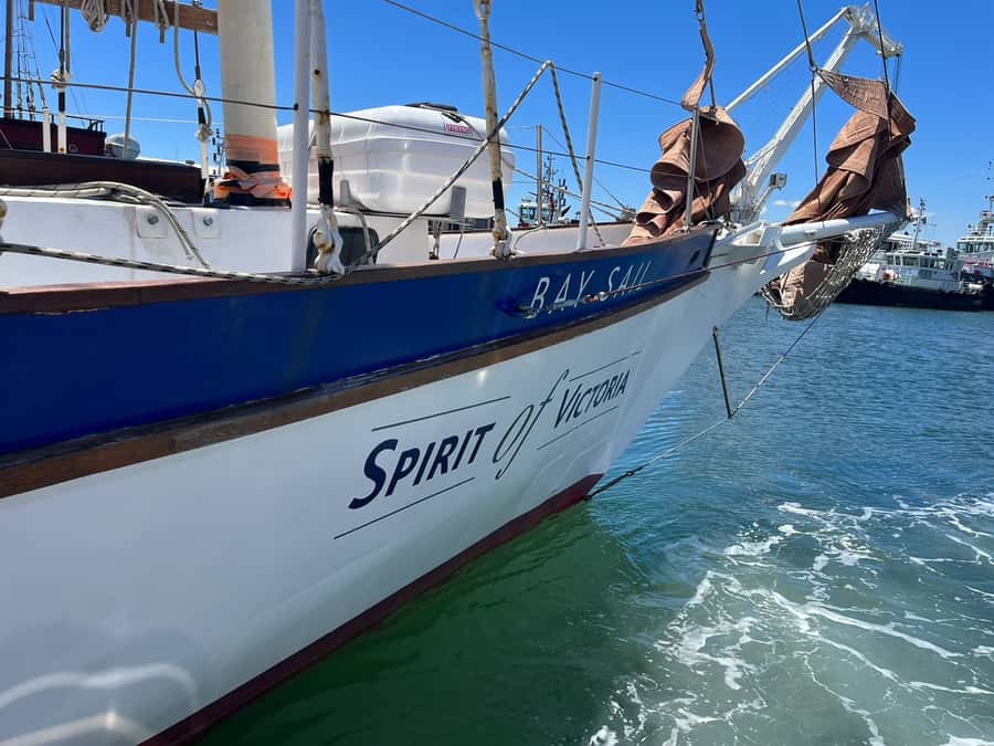 Cape Town: 1 Hour Table Bay Sailing Tour - Leaving the harbor and finding the open bay