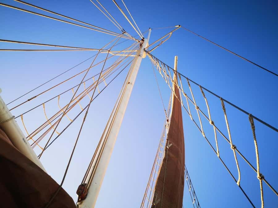 Cape Town: 1 Hour Table Bay Sailing Tour - Table Mountain from the water
