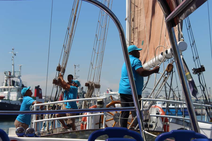 Cape Town: 1 Hour Table Bay Sailing Tour - The return toward Granger Bay