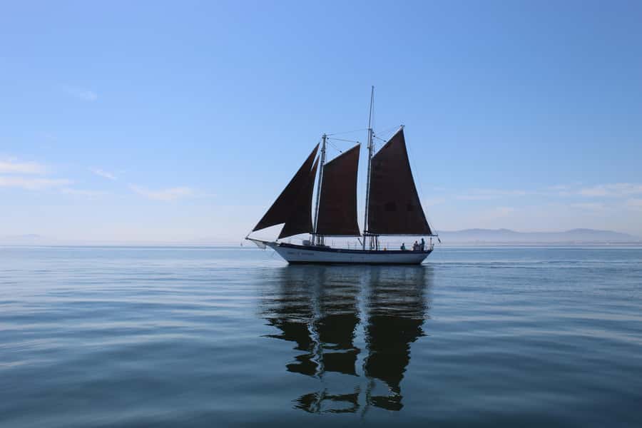 Cape Town: 1 Hour Table Bay Sailing Tour - Meeting Spirit of Victoria at Quay 5