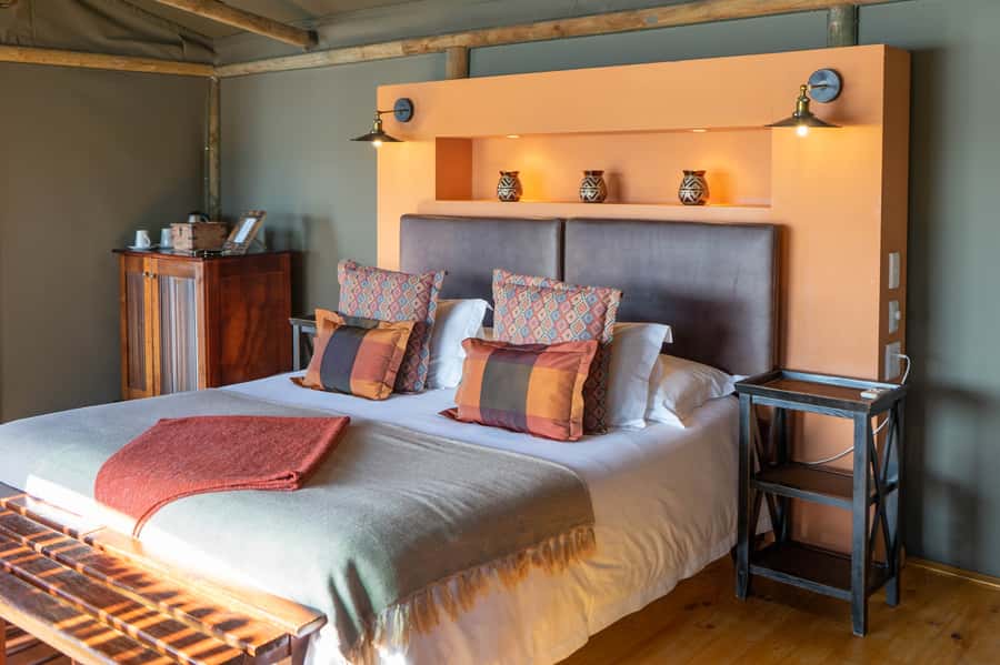 Cape Town: 2-Day Wildlife Tour with Safaris and Luxury Stay - Who will enjoy this two-day safari most?