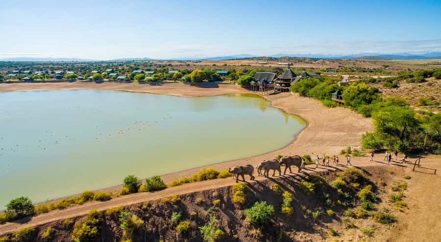 Cape Town: 2-Day Wildlife Tour with Safaris and Luxury Stay - Day one: leaving Cape Town for Botlierskop