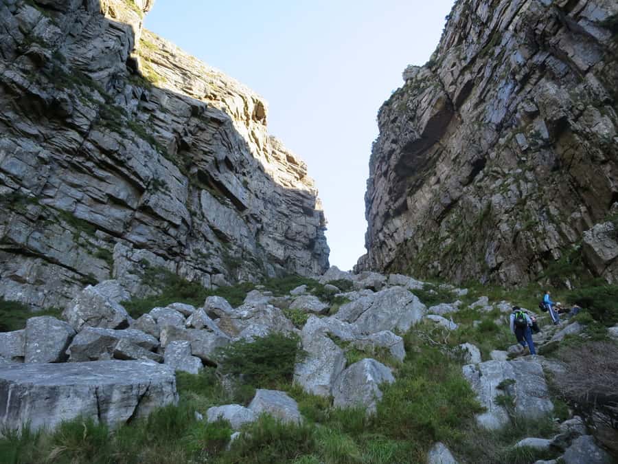 Cape Town: 3-Hour Table Mountain Hike via Platteklip Gorge - Why Platteklip Gorge is Table Mountain’s classic uphill test