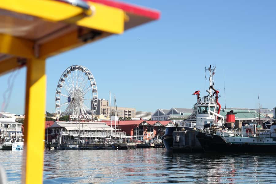 Cape Town: 30 Minute Seal-Watching Harbour Cruise - Is $6 good value for 30 minutes?
