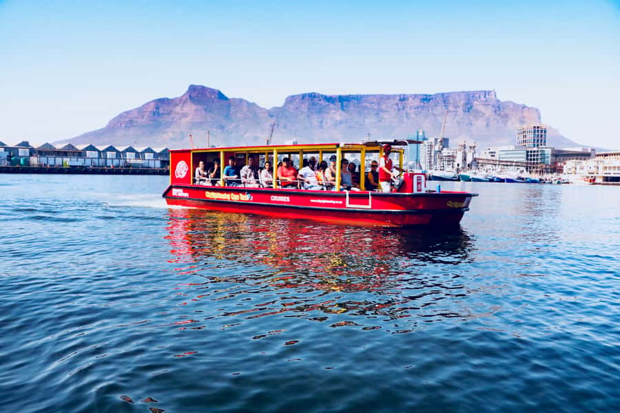 Cape Town: 30 Minute Seal-Watching Harbour Cruise - Practical details that make the ride easier