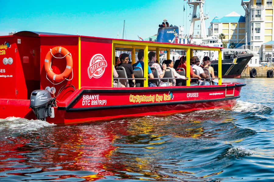 Cape Town: 30 Minute Seal-Watching Harbour Cruise - Should you book the Cape Town seal cruise?
