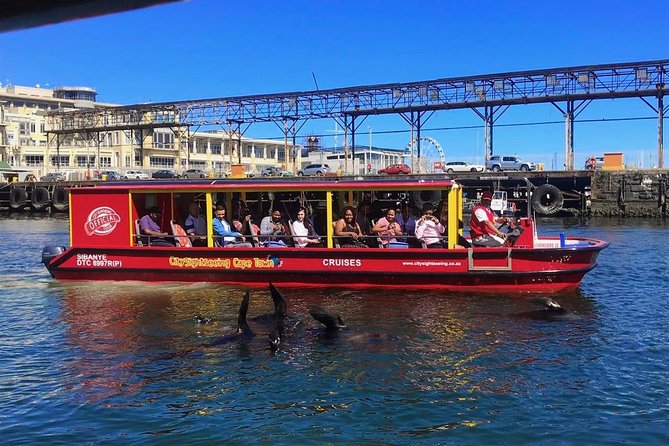 Cape Town 30-minute V&A Harbour Cruise - What this short Cape Town cruise actually offers