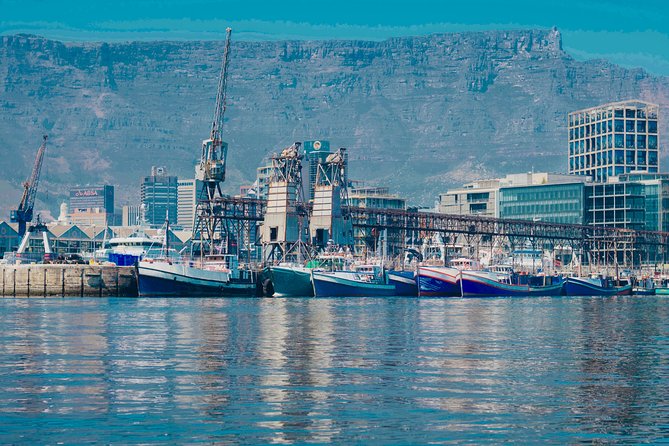 Cape Town 30-minute V&A Harbour Cruise - A 30-minute schedule that leaves room for more