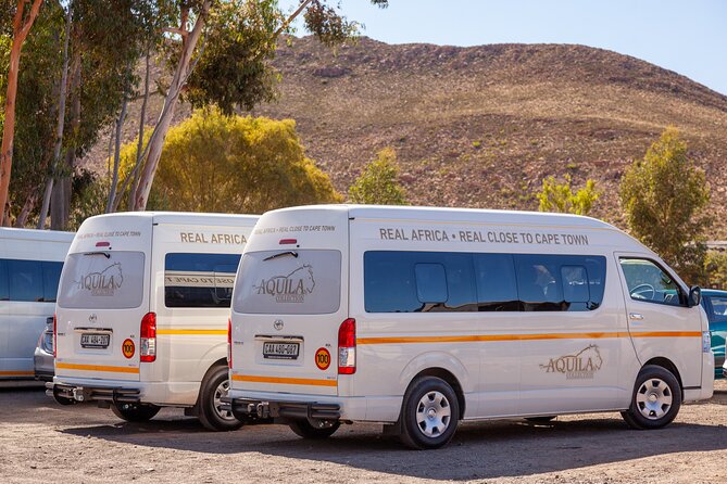 Cape Town Aquila Afternoon Safari with transport and lunch - Why this Aquila afternoon safari works well