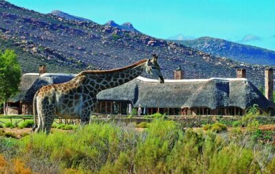 Aquila Game Reserve Day Entrance & Game Drive