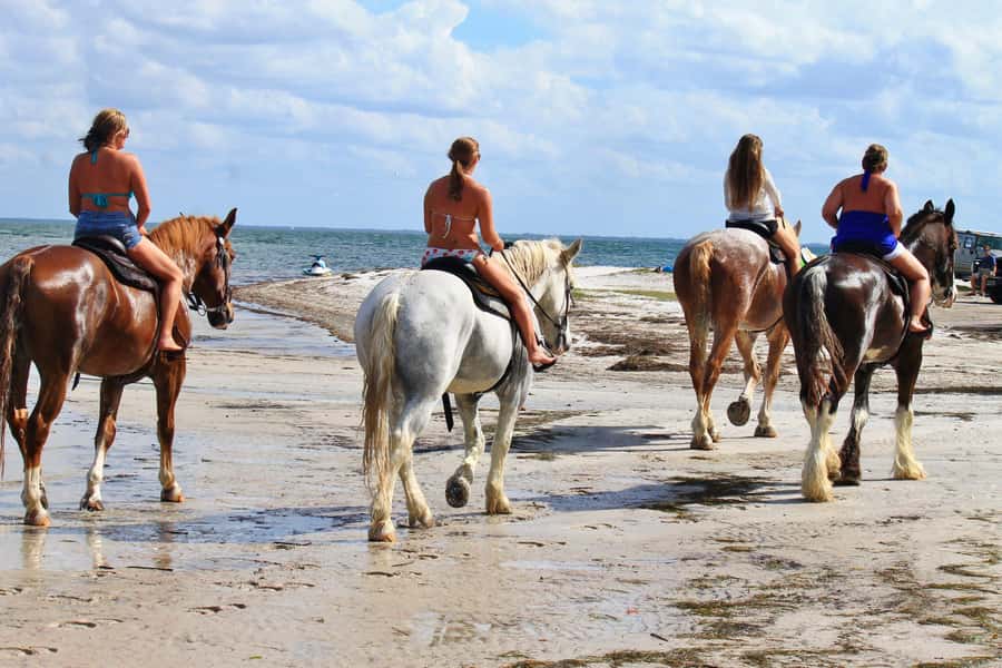 Cape Town: Beach Horse Ride with Hotel Pickup & Drop-off - The details that matter most