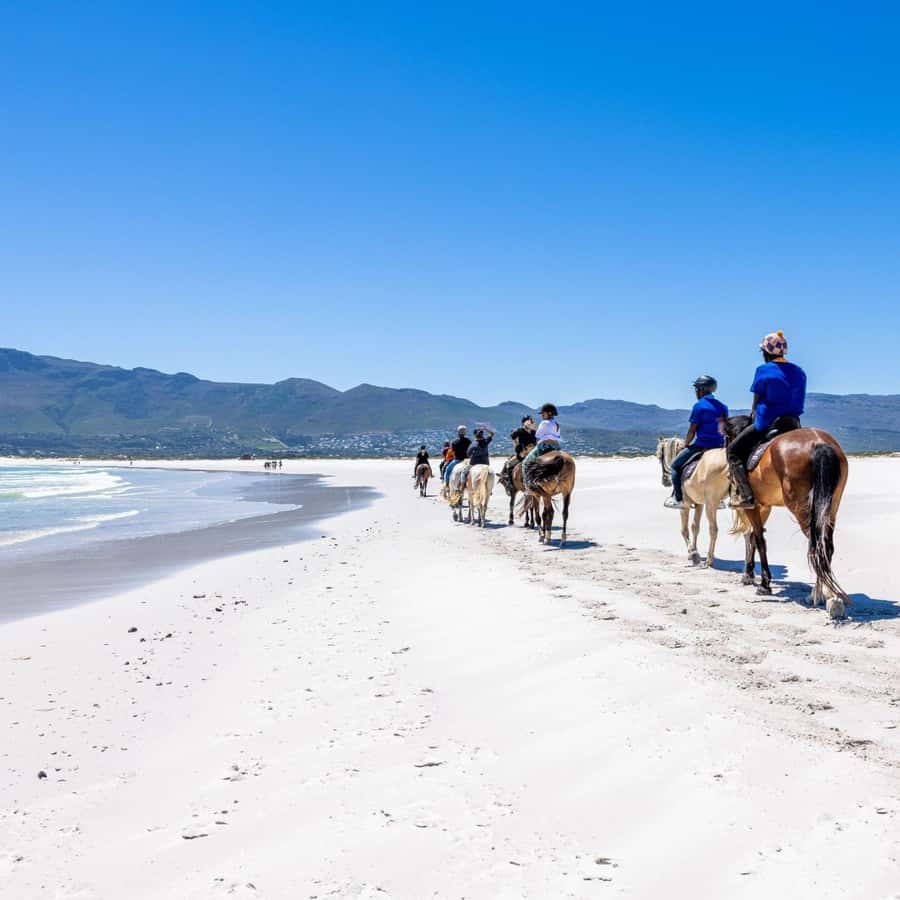 Cape Town: Beach Horse Ride with Hotel Pickup & Drop-off - What the ride feels like for beginners