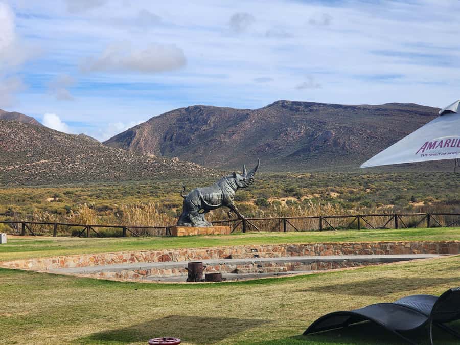 Cape Town big five safari with transport lunch Excl park fee - Conservation talks that add meaning