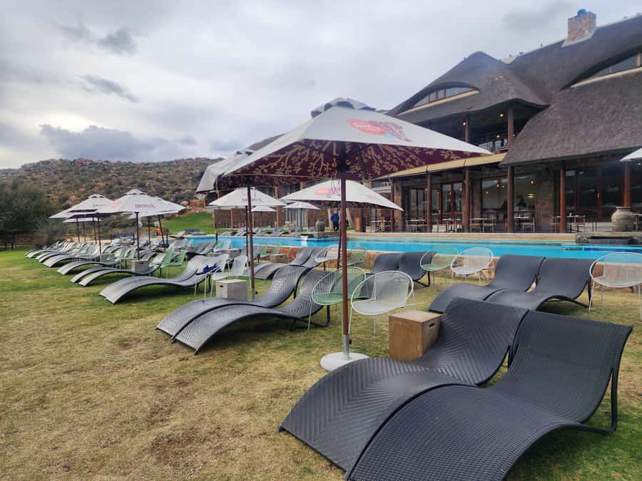 Cape Town big five safari with transport lunch Excl park fee - Who will get the most from this day