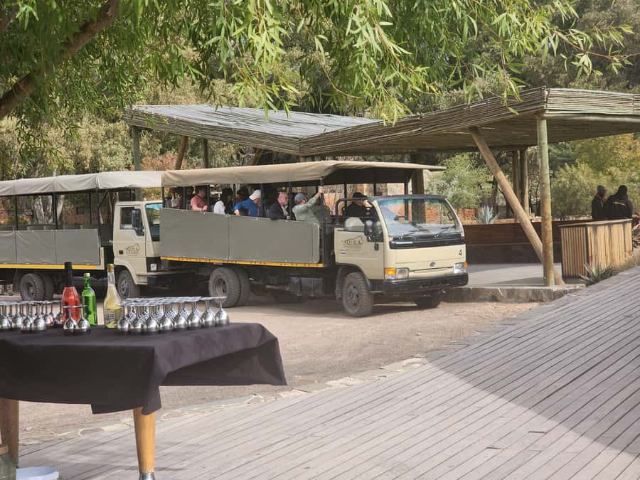 Cape Town big five safari with transport lunch Excl park fee - Should you book the Aquila safari?