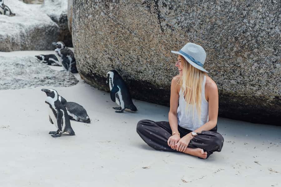 Cape Town: Boulders Penguin Colony Prebooked Entry Ticket - The boardwalk and main viewpoint