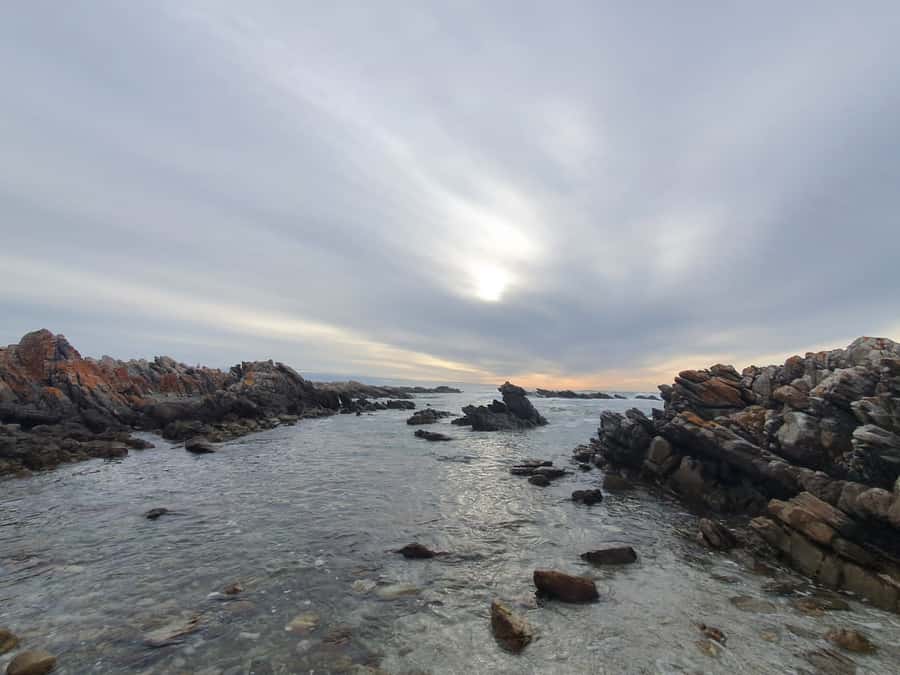 Cape Town: Cape Aghullas Van Tour with Hotel Pickup - Reaching Cape Agulhas and the ocean meeting point