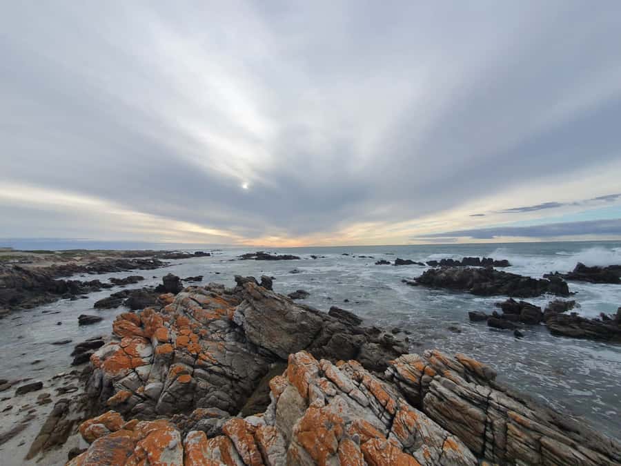 Cape Town: Cape Aghullas Van Tour with Hotel Pickup - Starting in Cape Town’s city centre