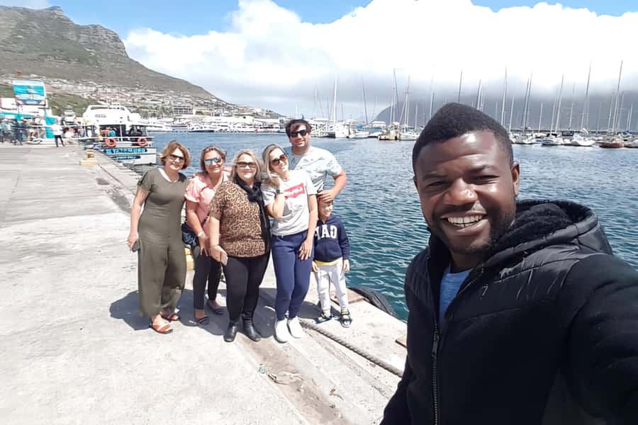 Cape Town: Cape of Good Hope and Penguins Full-Day Tour - Hout Bay offers seals or free time